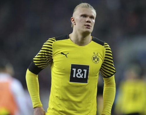 6万座的专业足球场，鲁媒分享黄河体育中心足球场建造情况（鲁媒详解黄河体育中心6万座专业足球场建设进展）